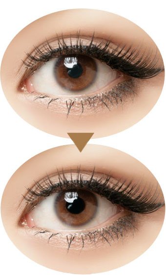  Brown ojos lentes de contacto Perspectiva